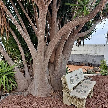 Tenerife Apartment Dulcynea With Terrace And Garden 600M2 With Ocean And Teide View Icod De Los Vinos Extérieur photo