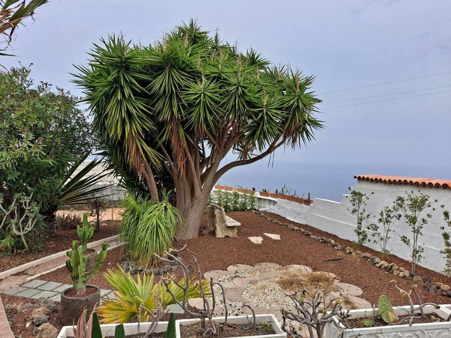 Tenerife Apartment Dulcynea With Terrace And Garden 600M2 With Ocean And Teide View Icod De Los Vinos Extérieur photo