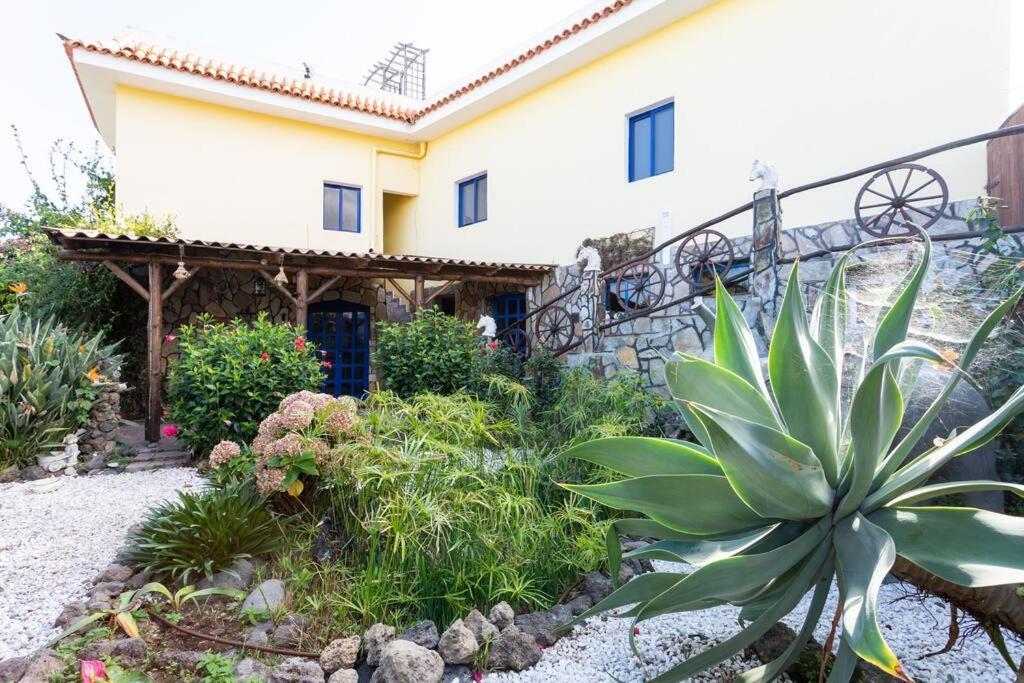 Tenerife Apartment Dulcynea With Terrace And Garden 600M2 With Ocean And Teide View Icod De Los Vinos Extérieur photo