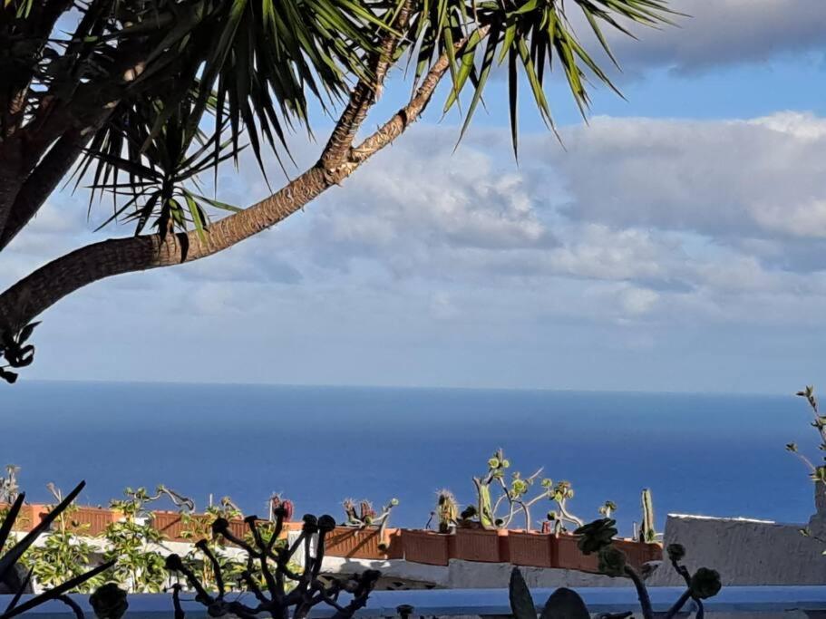 Tenerife Apartment Dulcynea With Terrace And Garden 600M2 With Ocean And Teide View Icod De Los Vinos Extérieur photo